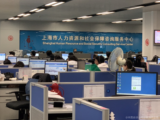 上海天麦信息科技 为您提供专业信息咨询服务，引领数字化转型新时代
